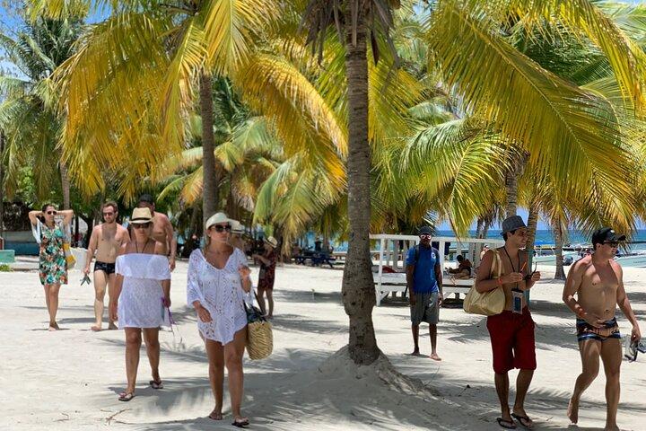 Full Day Tour to Isla Saona and Altos de Chavon