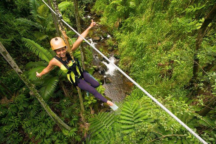 Big Island: 8-Zipline & Suspension Bridge Waterfall Adventure