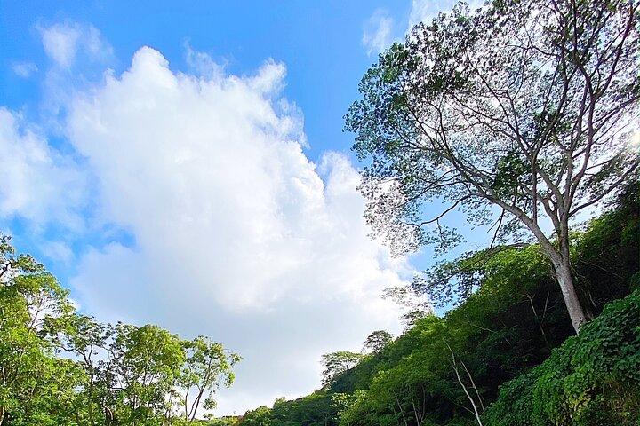 Kauai Adventure: Kayak & Hike to Secret Falls with Expert Guide