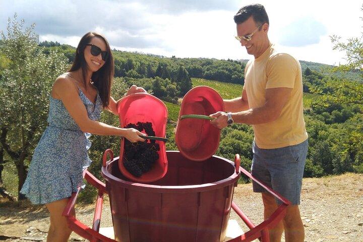 Grape Stomping and Wine Tasting in Tuscany
