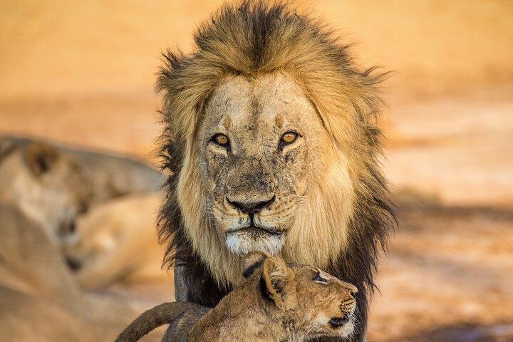 4 Day Safari- Tarangire,Ngorongoro and Serengeti