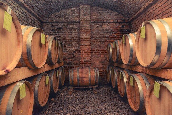 Full Day Trip from Belgrade: Novi Sad City Tour (Winery, Castle, Church)