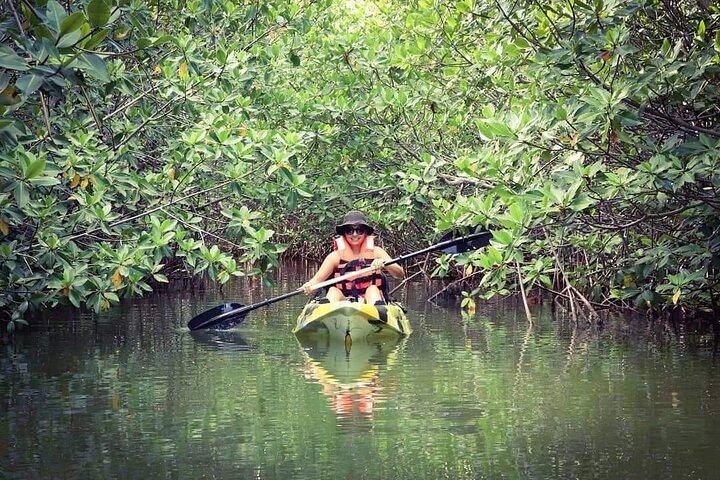Kayak Adventure in Cancun