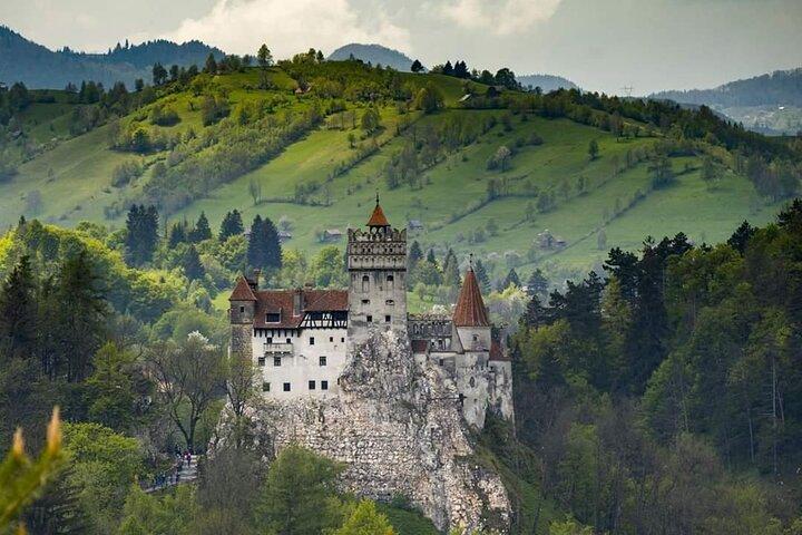 Brasov: Peles Castle, Bran Castles and Rasnov Fortress Day Tour