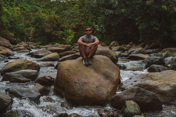 Half-Day El Yunque National Forest Tour from San Juan