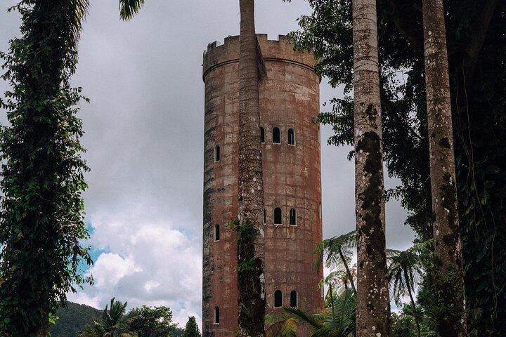 Half-Day El Yunque National Forest Tour from San Juan