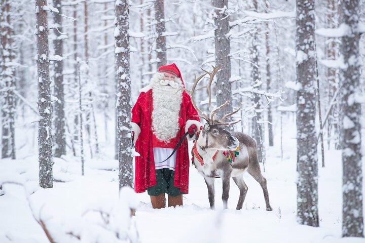 Santa's Premium: Reindeer, Husky, Buffet, Photo, Hotel Transfer