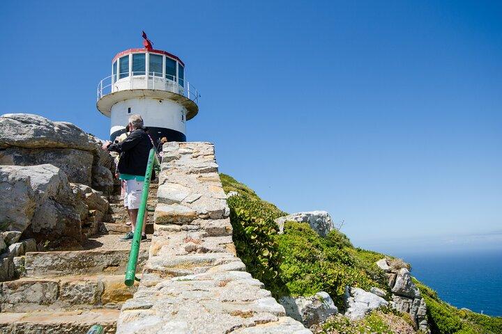 Half day am or pm Boulders Beach & Penguins with visit to Cape Point Great tour