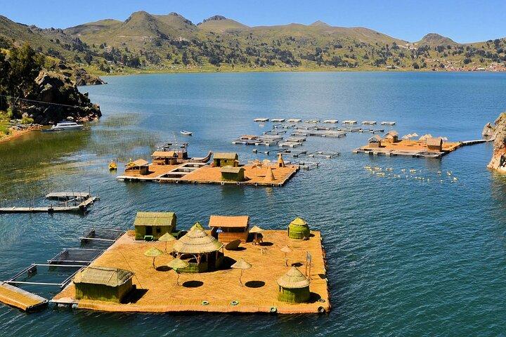Morning: Uros Floating Islands Tour from Puno