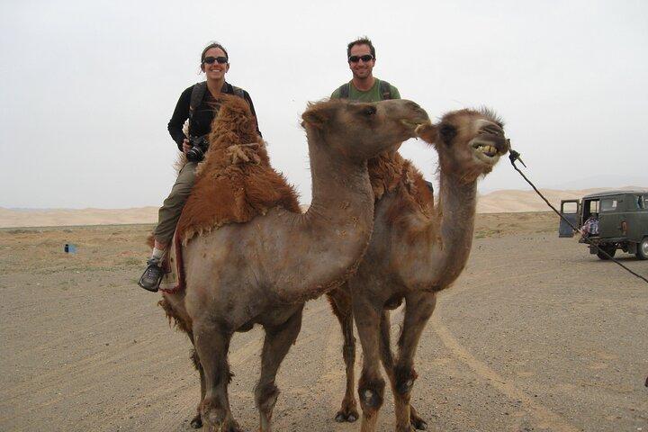 From Agadir or Taghazout or Port 2 Hours Camel Ride
