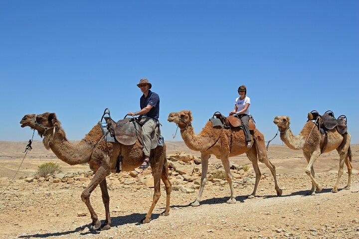From Agadir or Taghazout or Port 2 Hours Camel Ride