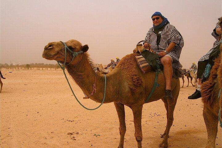 From Agadir or Taghazout or Port 2 Hours Camel Ride