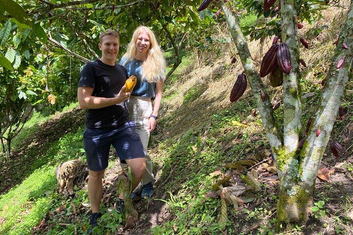 Chocolate tour near Medellin