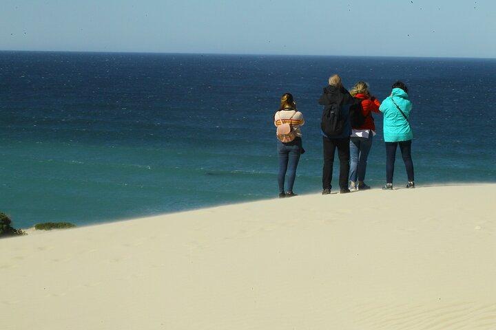 Hermanus Land based Whale Tour with Dave de Beer