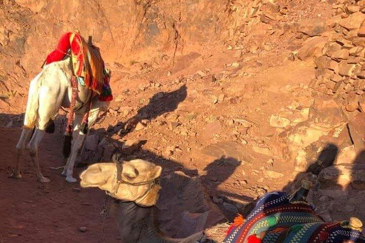 2-Day St Catherine and Moses Mountain Tour from Cairo