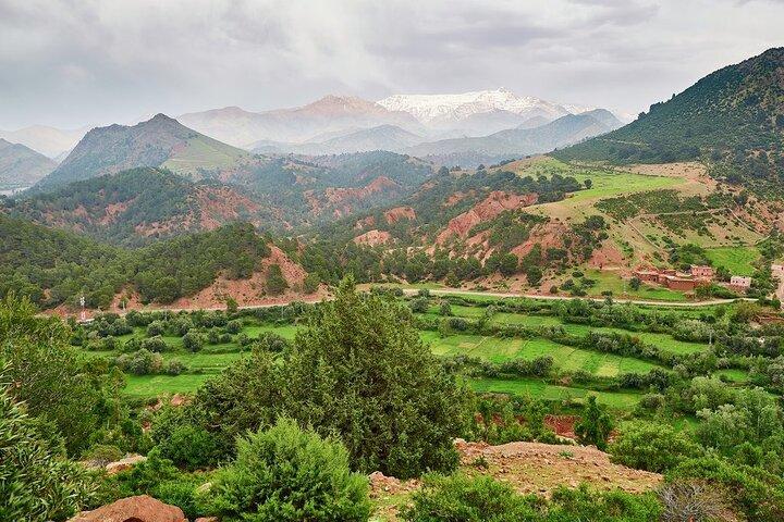 Ourika Valley Atlas Mountains Private Day Trip from Marrakech