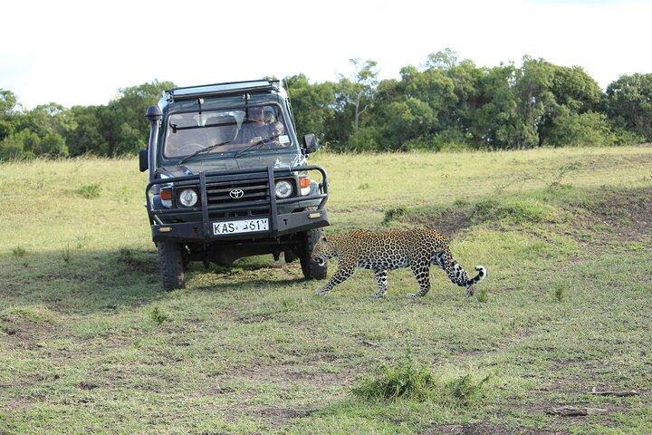 Private 7 Days Kenya Safari Amboseli, Naivasha, Nakuru, Mara