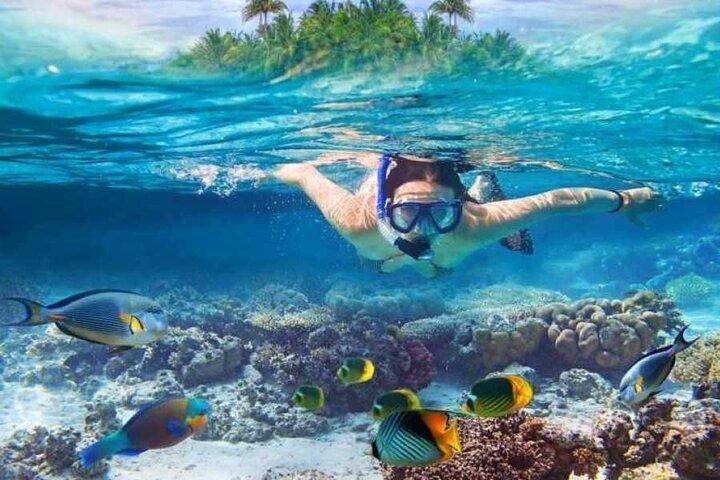 White Island & Ras Mohammed Day Trip From Sharm El Sheikh
