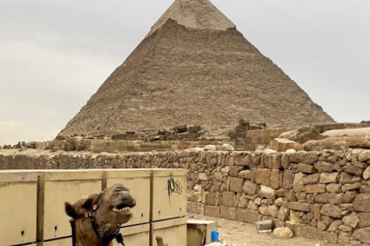 Pyramids Of Giza, The Museum Egyptian Antiques And Cairo Citadel Tour