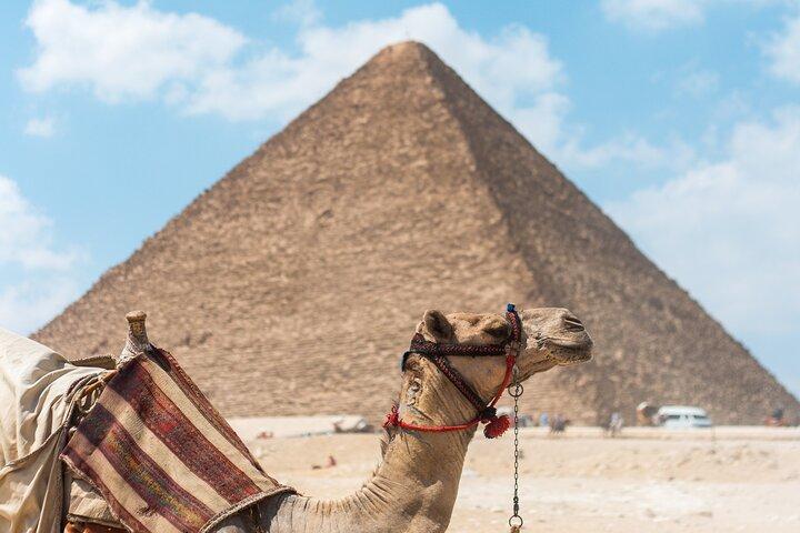 Giza Pyramids, The Egyptian Museum And Cairo Citadel-Mohamed Ali Mosque- Private