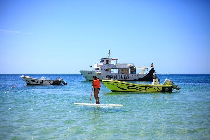 Benagil Boat Trip with Lunch, Open Bar & Fun Water Activities