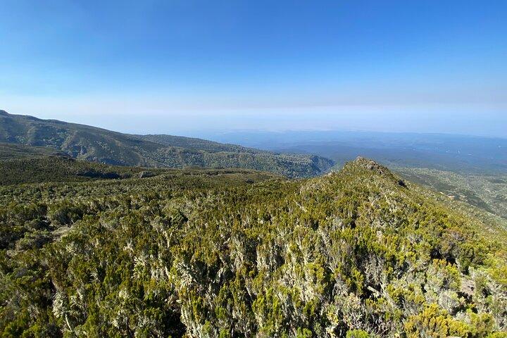 8 Days Lemosho Route