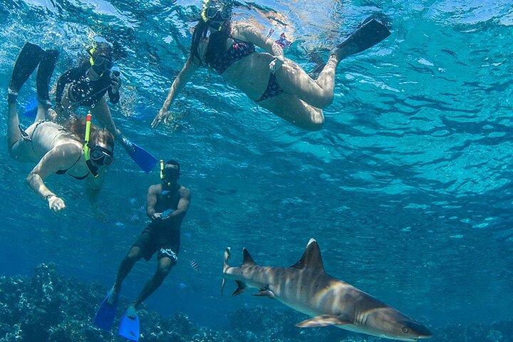 Ultimate Encounters Package - 2 Days | 1 Night