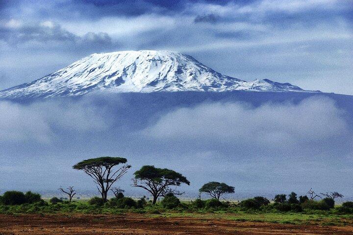 1 Day: Hiking Majestic Kilimanjaro