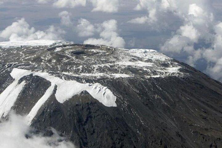 1 Day: Hiking Majestic Kilimanjaro