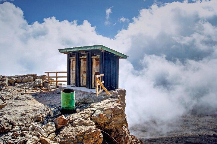 1 Day: Hiking Majestic Kilimanjaro