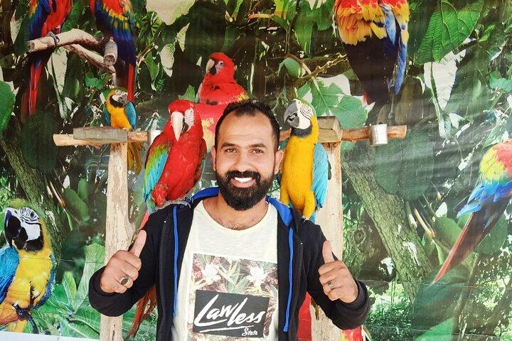 Private Safari Tour To Africano Park Alexandria From Cairo