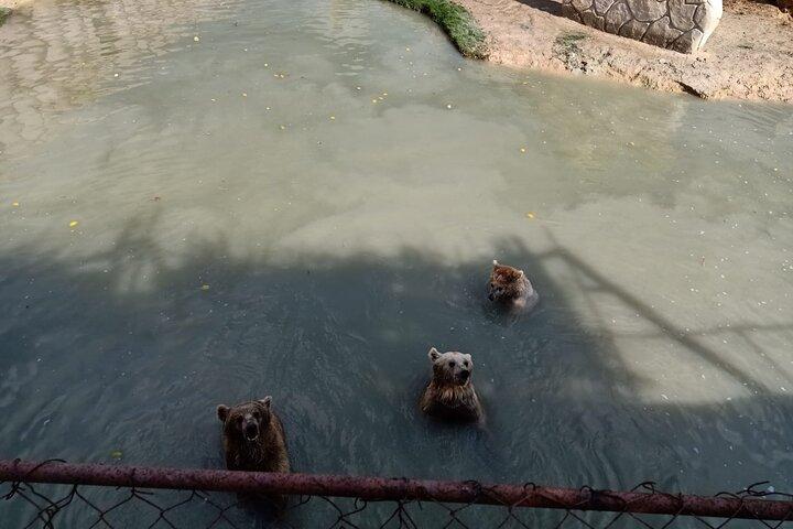 Private Safari Tour To Africano Park Alexandria From Cairo