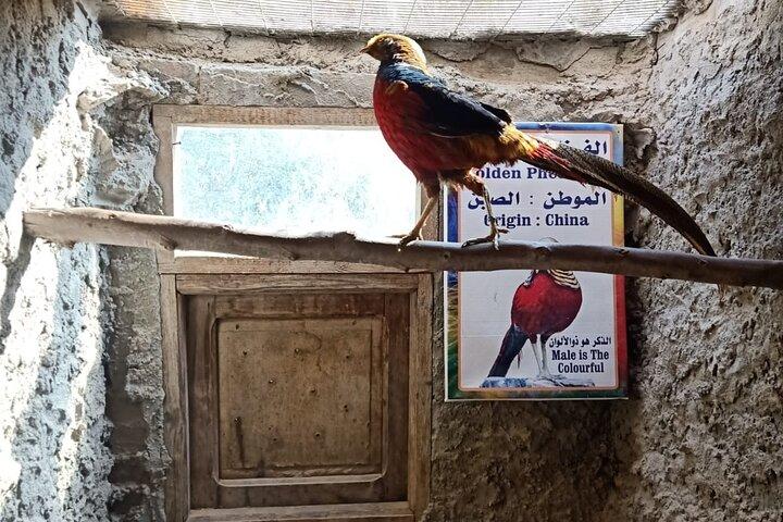 Private Safari Tour To Africano Park Alexandria From Cairo
