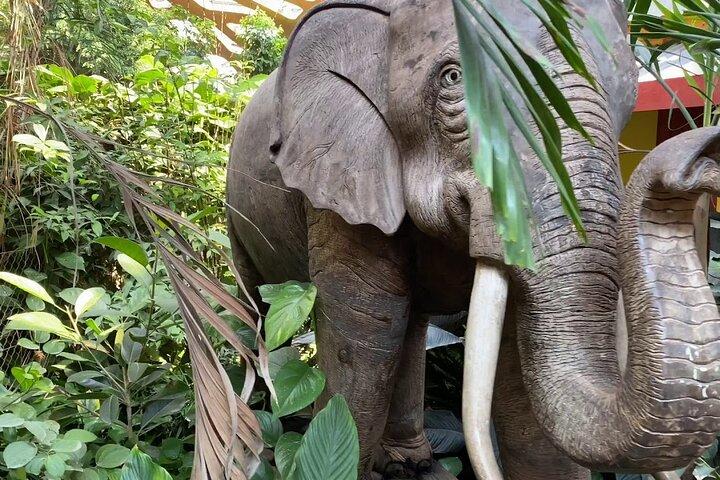 Private Tour to Alexandria Africano Safari Park from Cairo