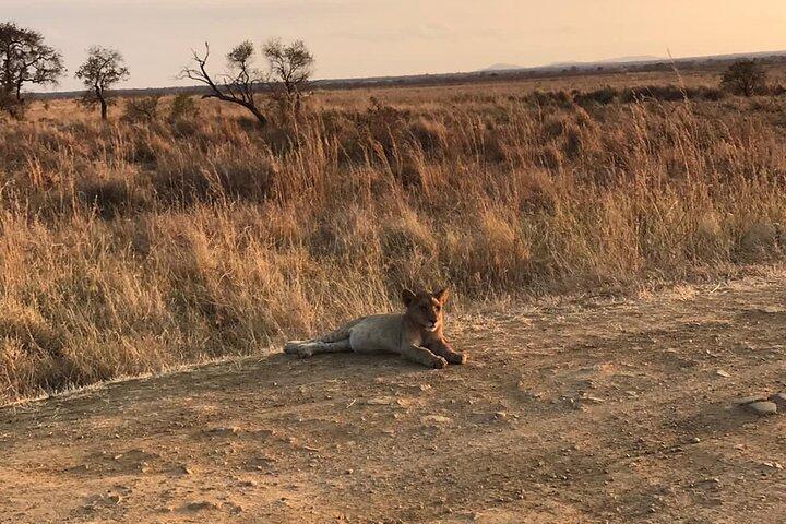Day trip to Tarangire National Park from Arusha