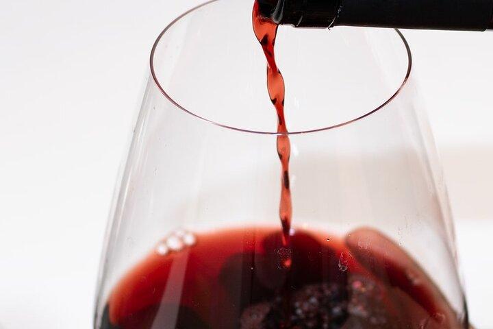 Brazilian Wine Tasting Evening