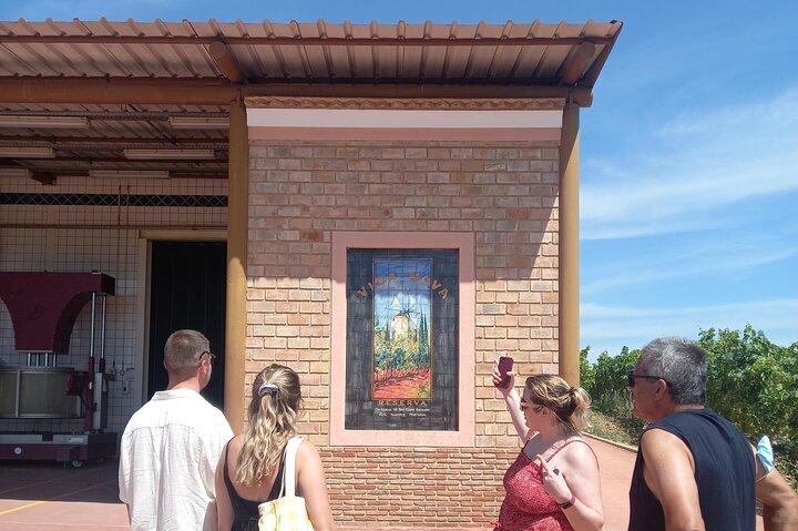 Wine Tasting, Chicken Piri Piri & Sights (Albufeira/Vilamoura)