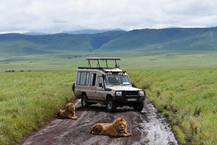 3-Day Safari to Serengeti, Ngorongoro and 1-Day Kilimanjaro Hike