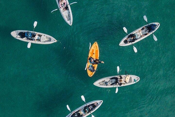 Original La Jolla Sea Cave Kayak Tour for Two