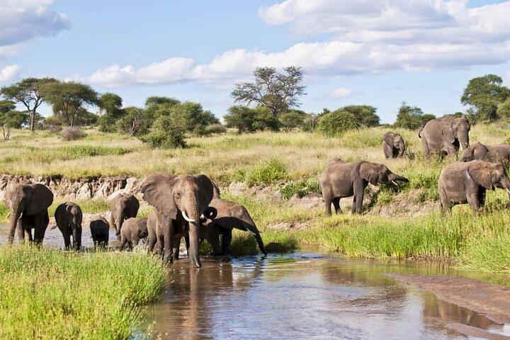 4 Days Lake Manyara National Park, Ngorongoro Crater , Serengeti National Park.