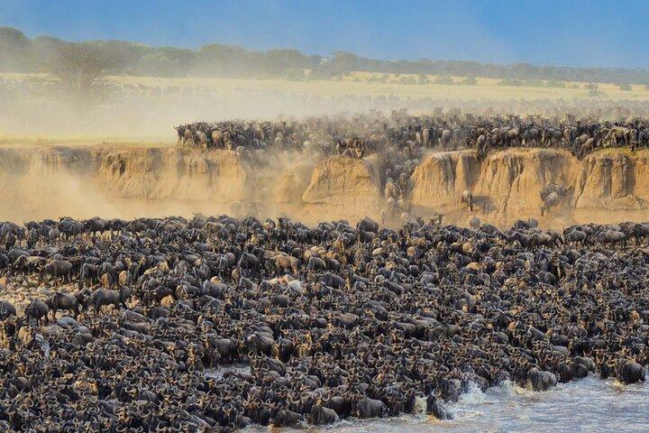 12 Days Wildlife Safaris And Culture Tour
