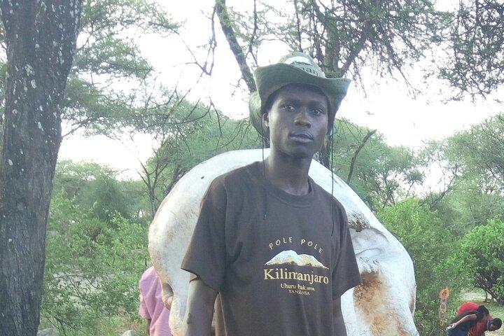 4 Days Lake Manyara National Park, Ngorongoro Crater , Serengeti National Park.