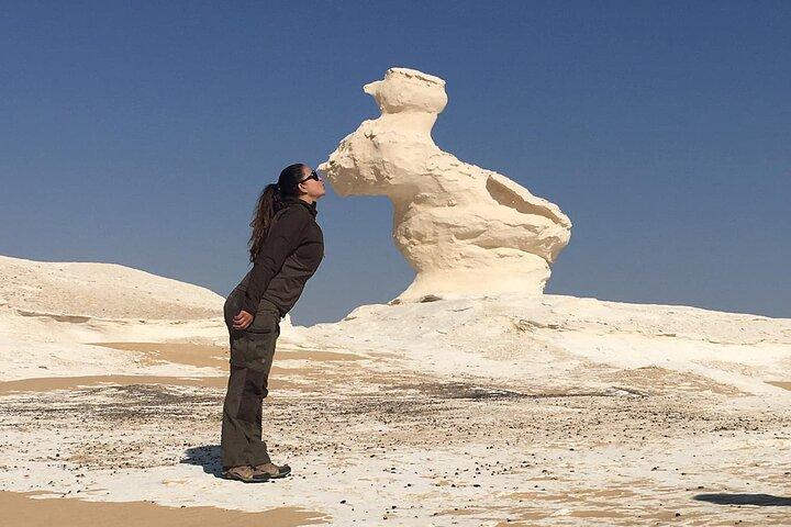 Bahariya Oasis Day Tour with Black & White Desert From Cairo