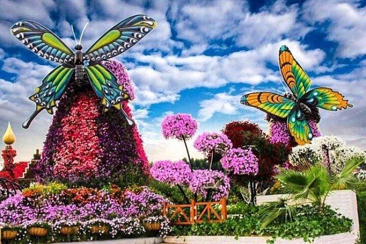 Miracle Garden Dubai Tour With Ticket