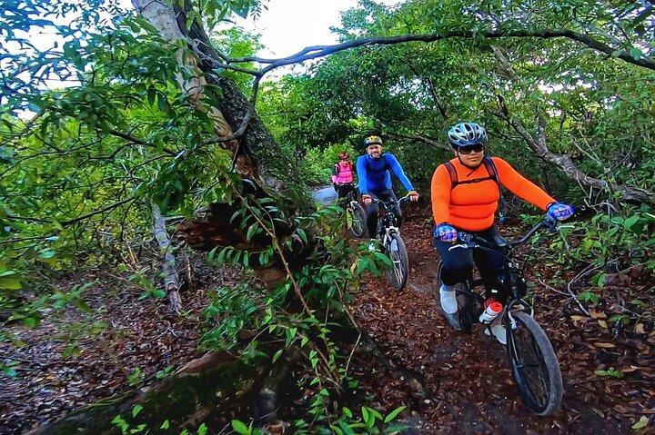 Bike trails in Porto de Galinhas