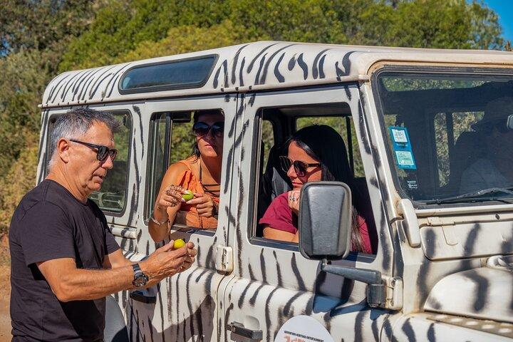 Jeep Safari Tour - Half Day