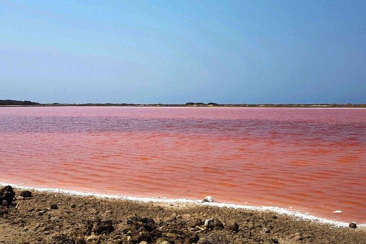 Totumo Volcano and Mar Rosa Tour in Cartagena with Lunch