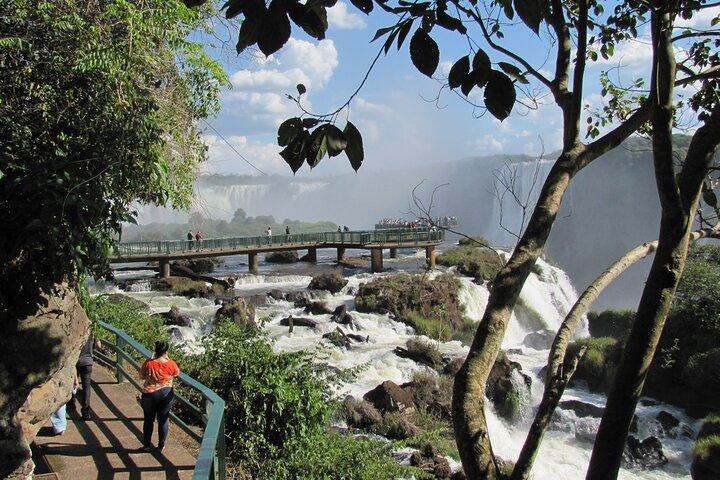Private day tour to Iguazu Falls Brazil, Bird Park and Itaipu Dam