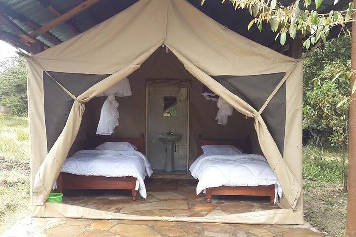 Masai Mara Interactive Safaris