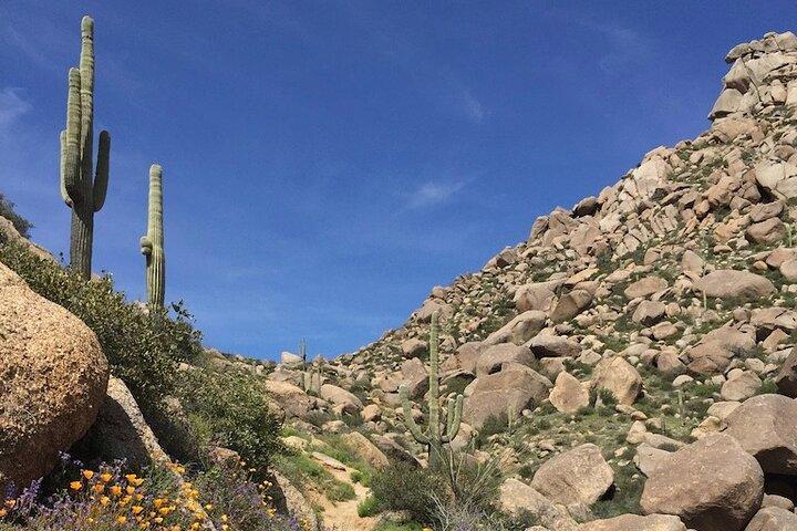 Iconic Tom's Thumb Guided Hiking Adventure in Scottsdale, Arizona